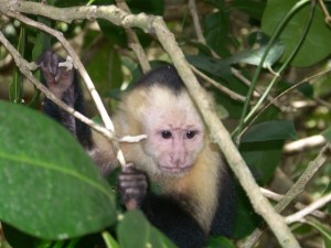 A little to close for comfort