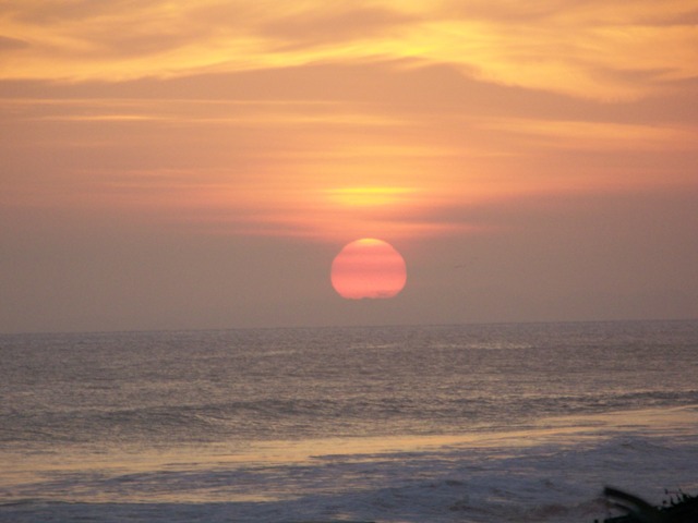 Going, going, gone . . . 