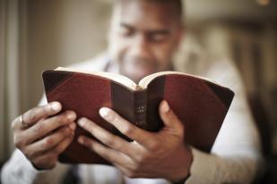 Bible Hands STOCK PAID